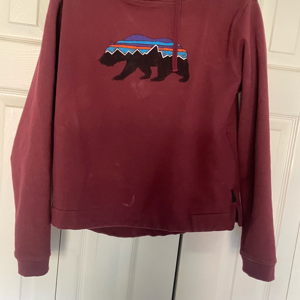 Patagonia hoodie